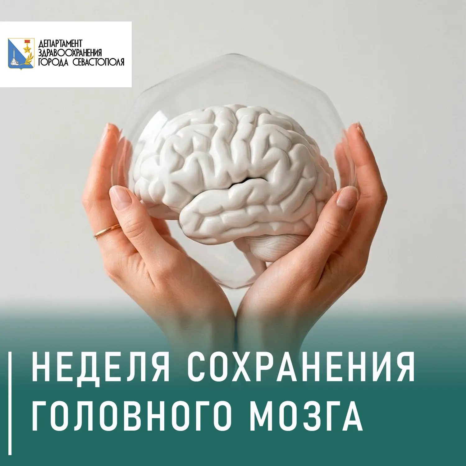 Стартовала неделя сохранения головного мозга